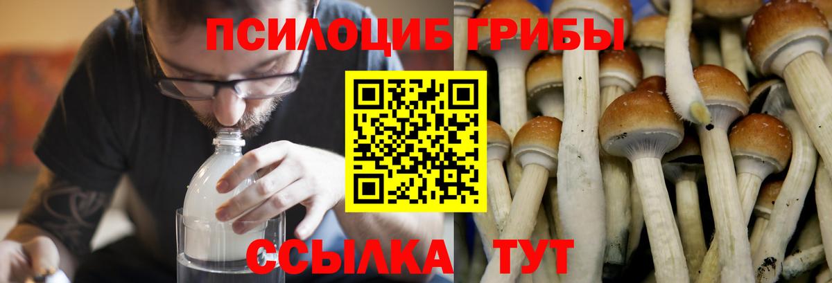 Галлюциногенные грибы мухоморы Мичуринск